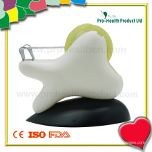 Médico de promoción dientes forma dispensador de cinta adhesiva de plástico (PH6120)